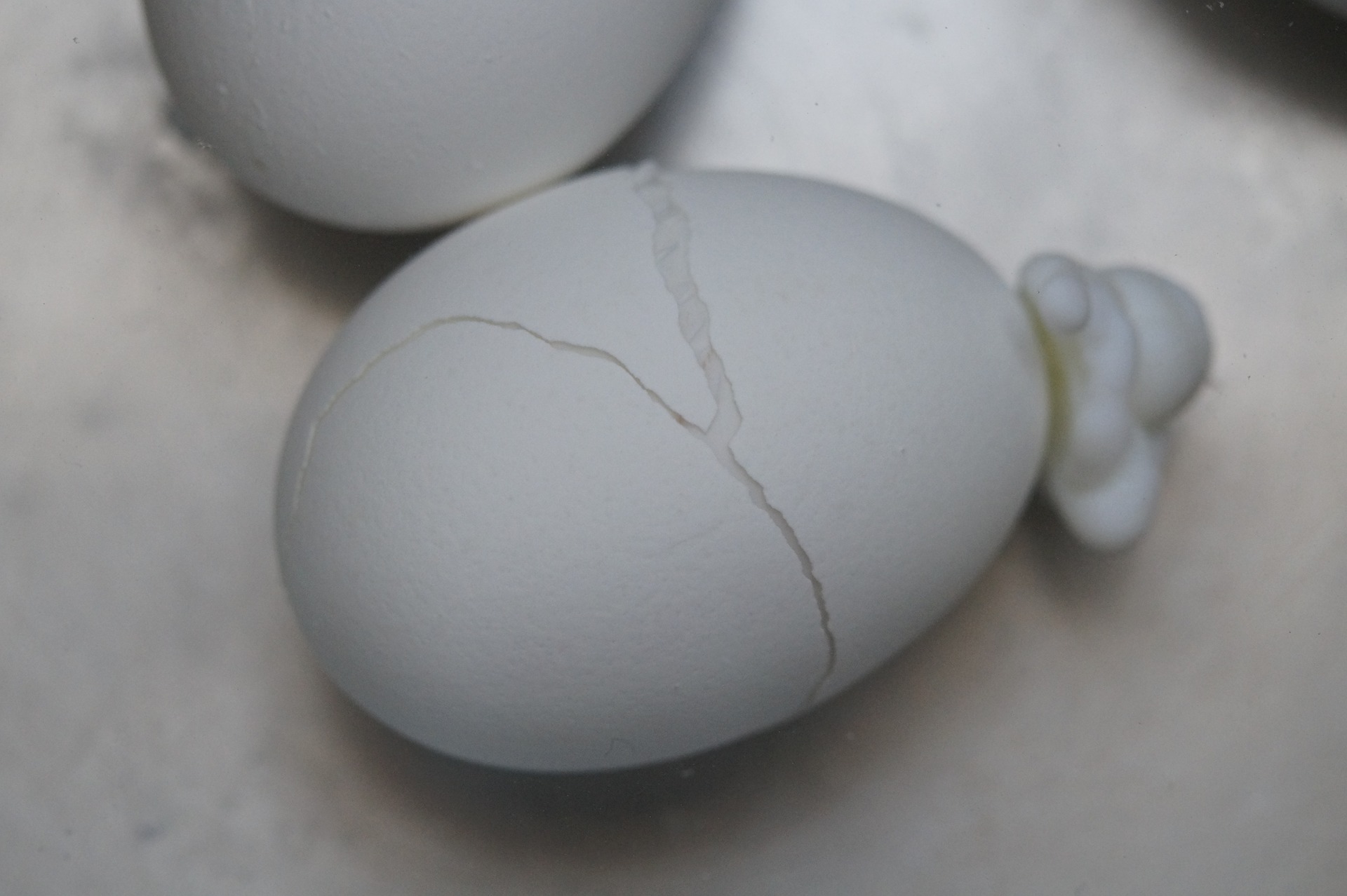 Cracked Boiled Egg